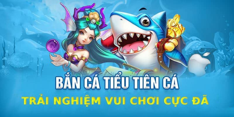 Tìm hiểu về sảnh bắn cá thu hút người tham gia hiện nay